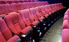 映画館運営のプロフェッショナル 劇場マネージャーへの道のり